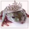 toad.jpg image by candy___x